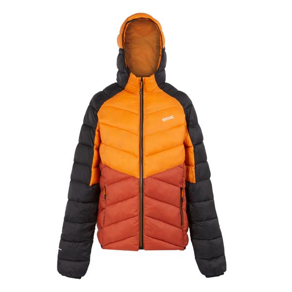 Product image for Hooded Dalent