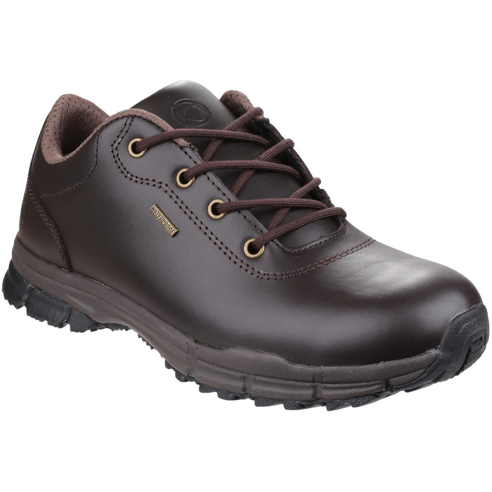 Cotswold Mens Alderton Waterproof Leather Walking Shoes UK Size 7 (EU