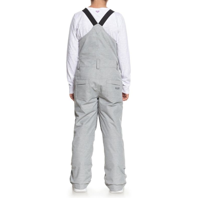 roxy overall snow pants