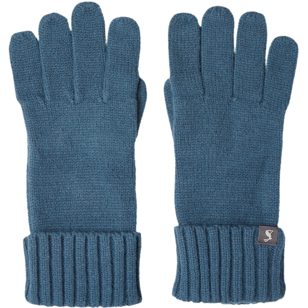 joules snowday gloves